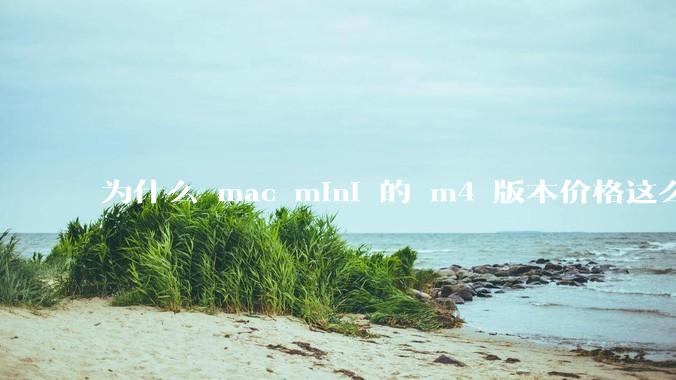 为什么 mac mini 的 m4 版本价格这么低呢？