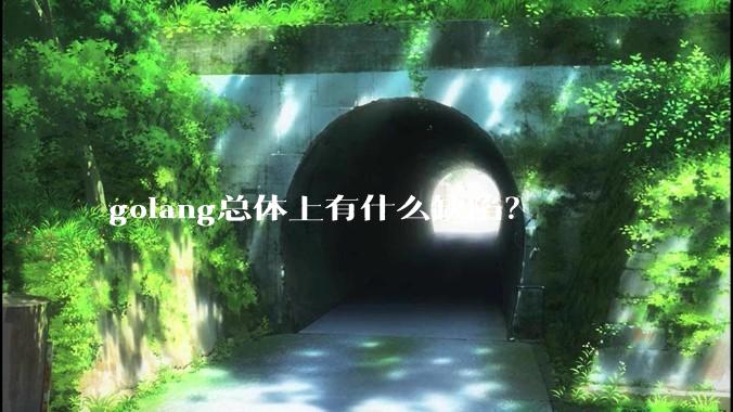 golang总体上有什么缺陷？