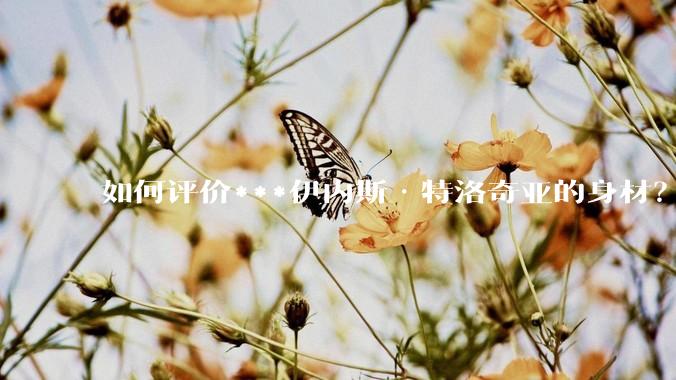 如何评价***伊内斯·特洛奇亚的身材？