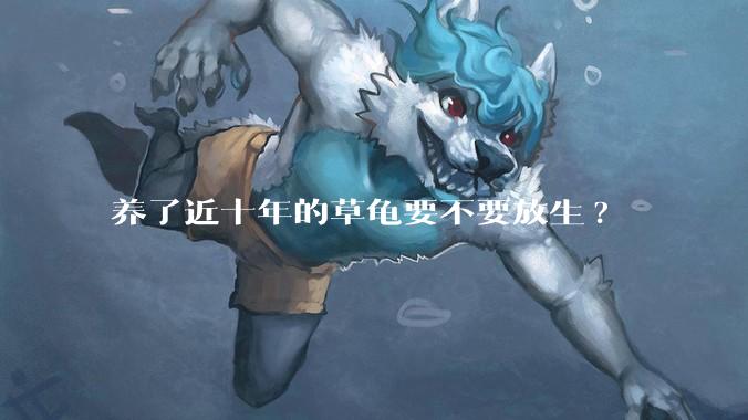 养了近十年的草龟要不要放生?