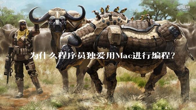 为什么程序员独爱用Mac进行编程？